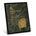 Acrylic Jade Green Award (9"x11")